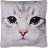 Bestlivings Kissenbezug Fotodruck Motiv in 40x40 cm, Flauschig weiche Kissen-Hülle in vielen Motiven erhältlich ( Design: Katze ) Bild 2
