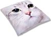 Bestlivings Kissenbezug Fotodruck Motiv in 40x40 cm, Flauschig weiche Kissen-Hülle in vielen Motiven erhältlich ( Design: Katze ) Bild 4