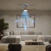 Philips LED Deckenleuchte Olas 24W DC-Ventilator 30W, fixe Rotorblätter, ⌀ 106cm, schwarz-braun, CCT - über Fernbedienung, Dimmer, Dimmfunktion, Ein-/Ausschalter, Farbsteuerung, Fernbedienung, Infrarot inkl, Memoryfunktion, Ventilatorfunktion, dimmbar ... Bild 3