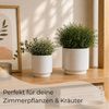 matches21 HOME & HOBBY Blumentopf Übertöpfe in Ø 10,5 cm, Weiße Blumentöpfe im 2er Set (2 St), Blumenübertöpfe aus Keramik für Zimmerpflanzen Bild 4