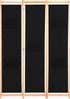 vidaXL 3-teiliger Raumteiler Schwarz 120 x 170 x 4 cm Stoff 248183 Bild 2