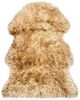 vidaXL Teppich Schafspelz 60x90 cm Braun Melange 283877 Bild 4