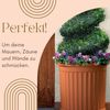 GarPet Pflanzkübel 2x Pflanz Kübel Halbrund Groß Wand Außen Blumen Kasten 50 Terrakotta Bild 2