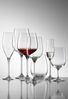 Eisch Superior SensisPlus Burgunderglas 2er Set Bild 4