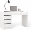 Raumhirsch Furniture Schreibtisch Computertisch, Bürotisch, Lerntisch, Arbeitstisch (Maße 120 x 55 x 76,5 (H) cm, 5 Schubladen), Viel Stauraum, Rollenführungen Bild 2