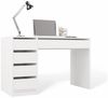 Raumhirsch Furniture Schreibtisch Computertisch, Bürotisch, Lerntisch, Arbeitstisch (Maße 120 x 55 x 76,5 (H) cm, 5 Schubladen), Viel Stauraum, Rollenführungen Bild 4