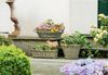 Pflanzkasten Rattan klein Pflanzschale Pflanzkorb Blumentopf Pflanztopf Übertopf Bild 2