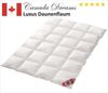 Canada Daunenbettdecke Canada Dreams Luxus Winter Daunendecke PLUS Wärmegrad 4, Füllung: canadische Daunen, Federchen Klasse 1, Bezug: 100% Baumwolle, Wärmeklasse 4 Bild 5