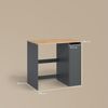 Livinity® Waschmaschinenumbauschrank Paolina, Anthrazit/Goldkraft Eiche, 93.6 x 88.2 cm mit Fächern und. (1-St) Bild 2