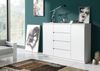 Raumhirsch Furniture Kommode, Sideboard, Kommode für das Schlafzimmer - Wohnzimmer (Maße: 120 × 39 × 101,5 cm, 2 Türen, 4 Schubladen, Rollenschienen), viele Farbvarianten - Hochwertig & stabil Bild 4