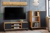 Raumhirsch Furniture Lowboard Focus, Stehendes Fernsehregal für das Wohnzimmer (Fernsehkommode, TV Schrank, TV Board stehend), Elegant & Funktional Bild 2