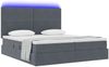 vidaXL LED-Speicherbett mit Matratze Dunkelgrau 200 x 200 cm Samt 3372876 Bild 3