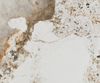 Esstisch Edge Boot 180-220x100 cm Keramik Minas Melange Weiß-Beige Spider Flachstahl Edelstahl Graphit ausziehbar Bild 3