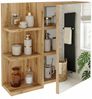 TREND WERK Spiegelschrank Badezimmer mit Ablage & Stauraum (59×16×50 cm Hängender Badezimmerschrank zur Wandmontage mit Regal) – modern & pflegeleicht Bild 2