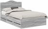 vidaXL Bettrahmen Graues Sonoma 120 x 190 cm Ingenieurs Holz 3413441 Bild 2