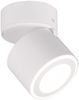 Trio 652910131 TAURUS 1x3,5W+1x1,5W 450lm 3000K LED-Deckenleuchte LB23 Bild 2
