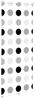 vidaXL Duschrollo 110x240 cm Stoffbreite 106 cm 4014837 Bild 4
