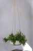 finestgreen Blumenampel Handgefertigte Blumenampel Hanging Eileen Bild 2