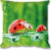 Bestlivings Dekokissen mit Fotodruck ca. 40x40cm, Beidseitig bedruckt, in vielen Motiven verfügbar ( Design: MARIENKÄFER / GRAS ) Bild 2