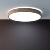 Lightbox Deckenleuchte, CCT - über Fernbedienung, LED fest integriert, warmweiß - kaltweiß, LED Wand- & Deckenlampe, Ø 50 cm, 60 W, 6300 lm, 3000-6500 K, CCT Bild 3