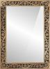 vidaXL Badspiegel 50x70x2,5 cm Massivholz Mango und Glas 358243 Bild 2