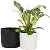 Scheurich Blumentopf 909/24 ebano Bild 4