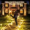 Quntis Gartenleuchte solar lampen für außen mit Erdspieß, gartenbeleuchtung für Terasse, LED fest integriert, Warmweiß, mit Gartenstrahler für Weihnachten Deko Bild 4