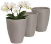 Annastore Übertopf 3 x Orchideentopf aus Keramik - Orchideenübertopf - Blumenübertopf, H 17 cm - Ø 13,5 cm Bild 3