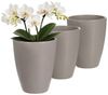 Annastore Übertopf 3 x Orchideentopf aus Keramik - Orchideenübertopf - Blumenübertopf, H 17 cm - Ø 13,5 cm Bild 4