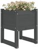 vidaXL Pflanzkübel 2 Stk. Grau 40x40x52,5 cm Massivholz Kiefer 822112 Bild 3