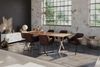 Esstisch Baumkante Massiv Mango naturfarben 220 x 100 silber X-Gestell DORA 71078938 Bild 4
