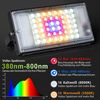 LMaxhome Pflanzenlampe LED Vollspektrum Dimmbar Pflanzenlicht mit Ständer für Zimmerpflanzen, Drei Lampen, 1/2/3 Köpfe, Auto Timer 3/6/12H, 6 Modi Helligkeit, Höhenverstellbar Bild 2