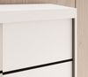 MOEBLO Schiebetürenschrank FIORA 100 (modern, platzsparend, mit Spiegel & viel Stauraum Schwebetürenschrank 2-türig Schrank Garderobe Schiebtüren Schlafzimmer Wohnzimmerschrank mit Spiegel) (BxHxT): 100 x 200 x 58 cm Bild 4