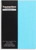 Traumschloss Spannbettlaken Exclusiv, Jersey, Gummizug: rundum, (1 Stück), 150g/m², 100% gekämmte Mako Baumwolle Bild 5