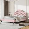 HAUSS SPOLE Polsterbett 140x200 mit Lattenrost und höhenverstellbares Kopfteil, Samt, Rosa Bild 5