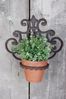 Blumentopfhalter Gusseisen Antik-Braun Pflanzenhalter Wandtopfhalter Bild 3