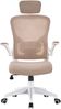 Bürostuhl Ergonomisch Drehstuhl Schreibtischstuhl Mesh Netzstoff office Stuhl Weiß / Taupe Bild 2