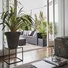 Capi Blumentopf Urban Smooth Quadratisch 50 x 50 x 50cm Schwarz KBL904 424343 Bild 4