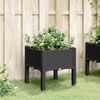 vidaXL Pflanzkasten mit Beinen Schwarz 40x40x42 cm PP 367888 Bild 3