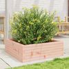 vidaXL Pflanzkübel 70x70x23 cm Massivholz Douglasie 847196 Bild 3