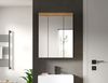 Xonox 'Scout' Spiegelschrank (B/H/T: 60x79x18 cm) in Salbei und Artisan Eiche Nachbildung Bild 2