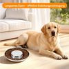 BlingBin Napf Edelstahl-Welpennäpfe–25,3cm Welpen-Futterspender Langsame Futternäpfe, 4er Set Edelstahl-Futterschalen & Wasserschalen, Futter Fütterung Entwöhnung für Kleine Mittlere Große Hunde Haustiere Bild 3