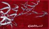 GRUND COLANI 23 Badematte 70x120 cm Rot Bild 2