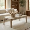 Couchtisch 120 x 60 cm Massivholz Mango white wash - Wohnzimmertisch Rechteckig - Sofatisch Modern Holz - Design Wohnzimmer Tisch Handmade Bild 3