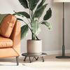 vidaXL Haarnadelbeine für Couchtisch 4 Stk. Naturstahl 10 cm Massivstahl 4012411 Bild 3