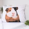 Meerschweinchen Design Bettwäsche aus Baumwolle, 140x200 cm & 70x90 cm Bild 4