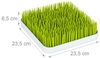 Littlechoice Abtropfgestell Babyflaschen Bild 5