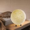 RGB LED Tischleuchte, Kugel, Muscheln, weiß, D 37 cm Bild 3
