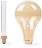 LED-Filament-Lampe E27 | PS165 | 3.5 W | 120 lm | 1800 K | Dimmbar | Mit Gold Amber Finish | Retro Style | 1 Stück Bild 4