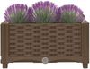 vidaXL Hochbeet 40x40x23 cm Polypropylen 316511 Bild 3